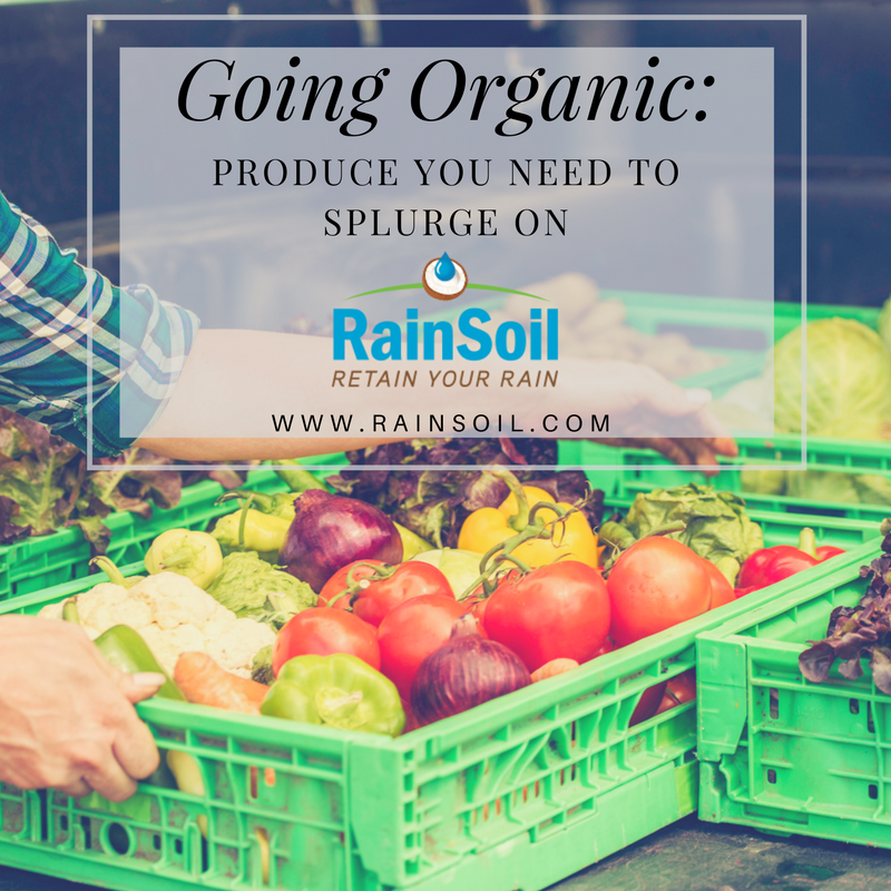 Going Organic: Produce You Need to Splurge On