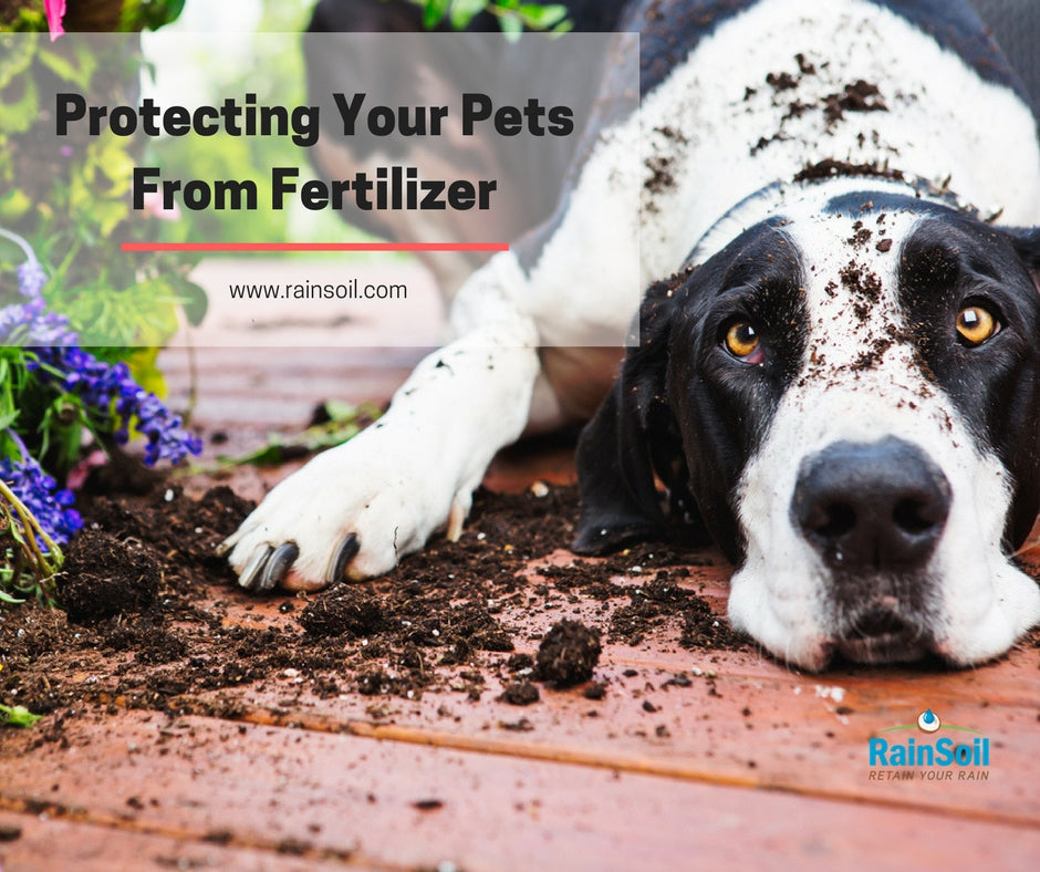 Keeping Your Pets Safe From Fertilizer | RainSoil