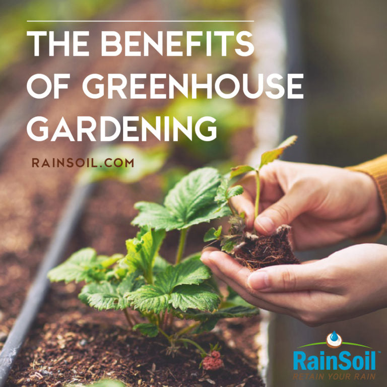 Greenhouse Greatness: The Benefits of Protected Gardening | RainSoil