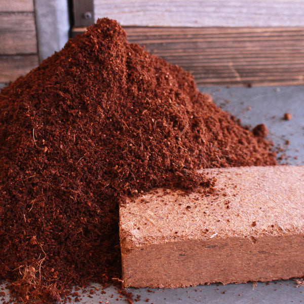 Compressed Coconut Coir Growing Media Bricks - Pallet of 1500 Bricks